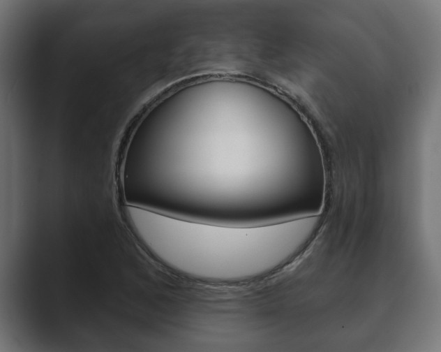 X0000089881168200706281044