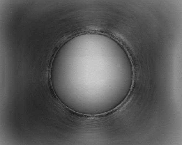 X0000089881169200706281044