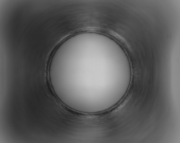 X0000089881170200706281044