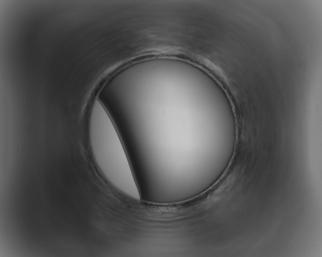 X0000089881171200706281044