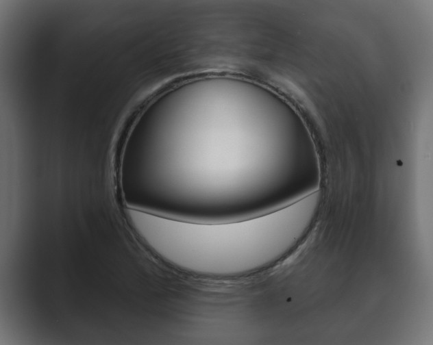 X0000089881172200706281044