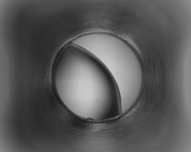 X0000089881173200706281044