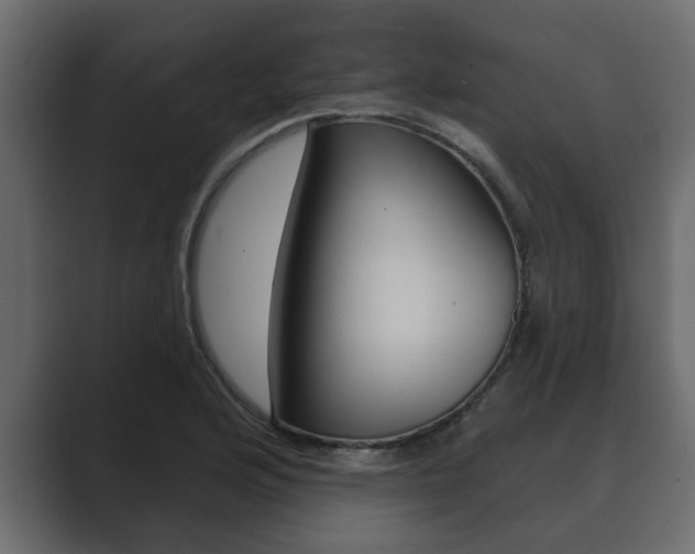 X0000089881176200706281044