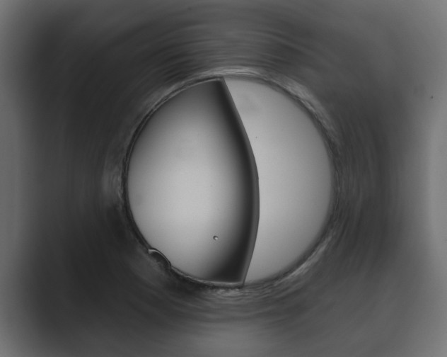 X0000089881177200706281044