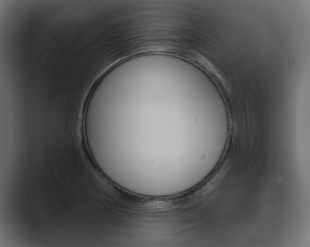 X0000089881178200706281044