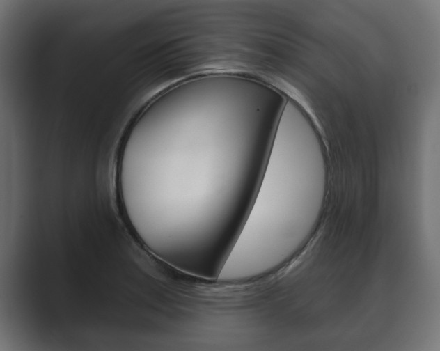 X0000089881179200706281044