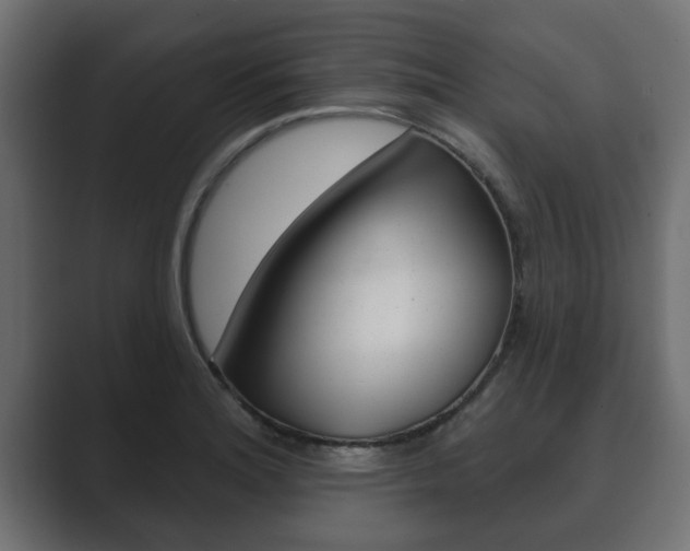 X0000089881180200706281044