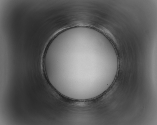 X0000089881182200706281044