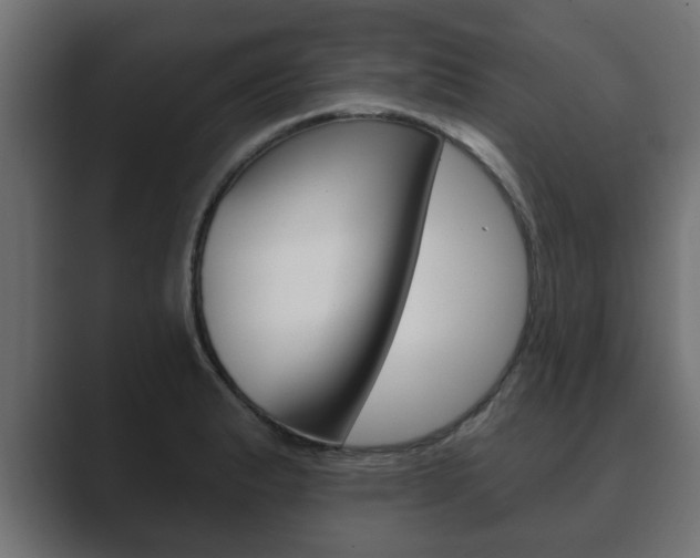 X0000089881183200706281044