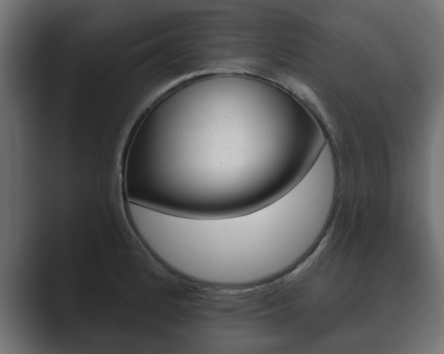 X0000089881184200706281044