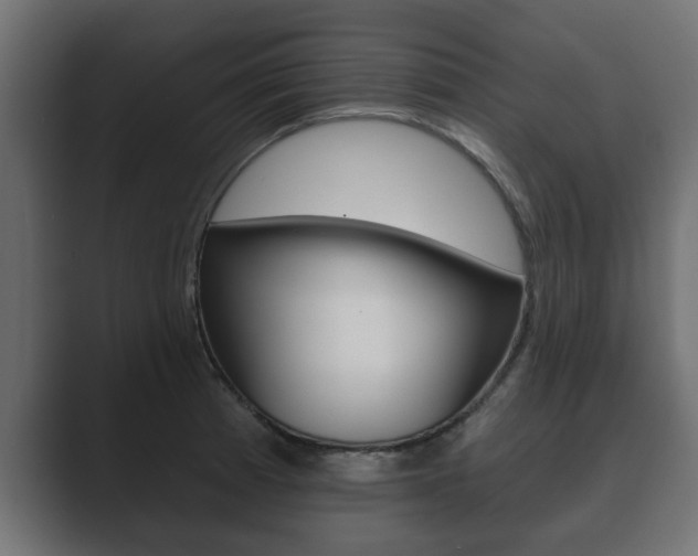 X0000089881185200706281044