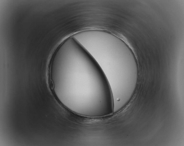 X0000089881187200706281044