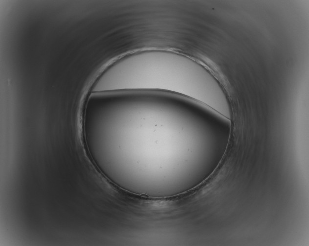 X0000089881188200706281044