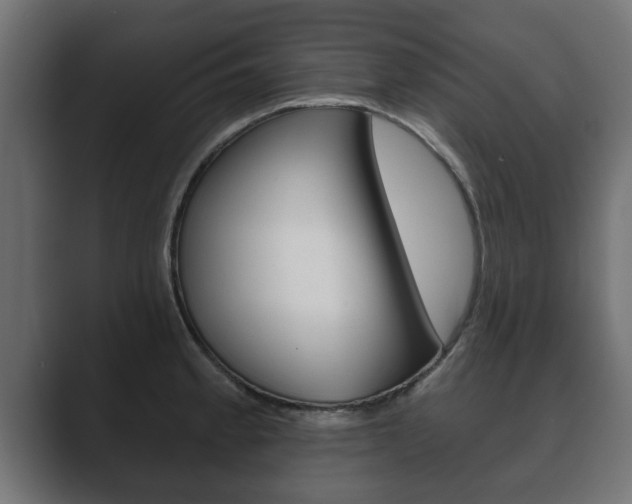 X0000089881189200706281044