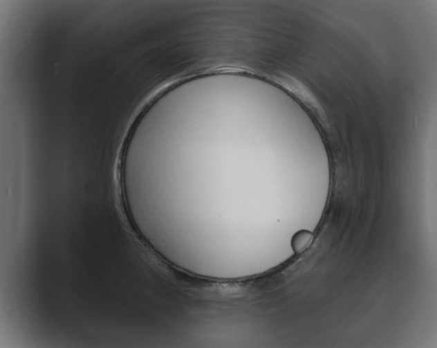 X0000089881190200706281044