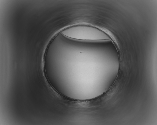X0000089881191200706281044