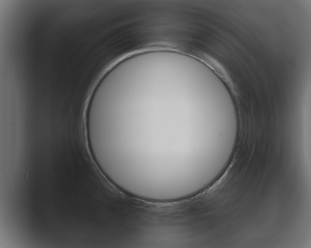 X0000089881192200706281044