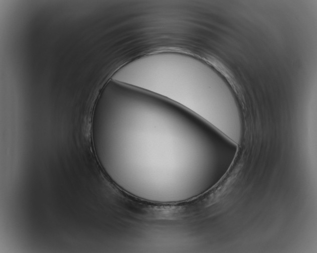 X0000089881193200706281044
