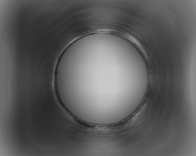 X0000089881194200706281044