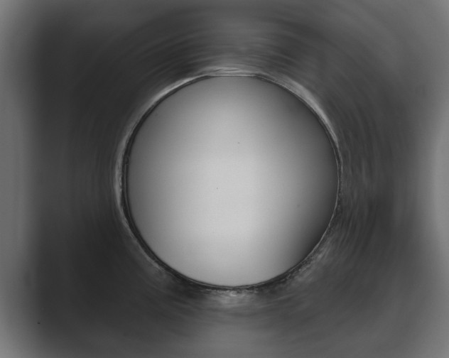 X0000089881195200706281044