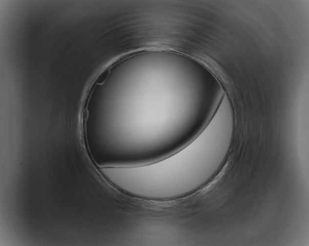 X0000089881196200706281044