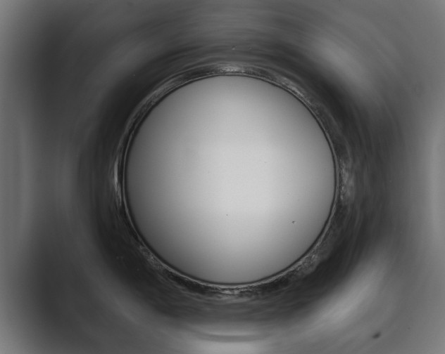 X0000089881198200706281044