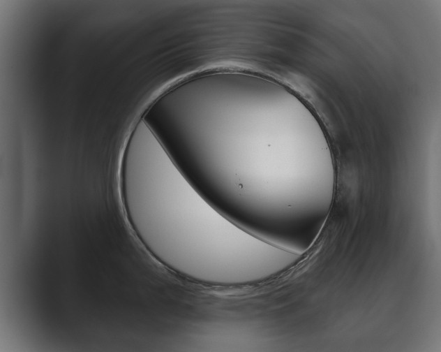 X0000089881199200706281044