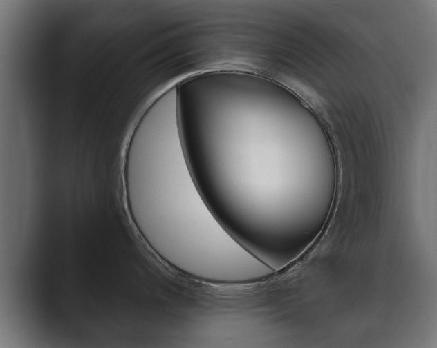 X0000089881200200706281044