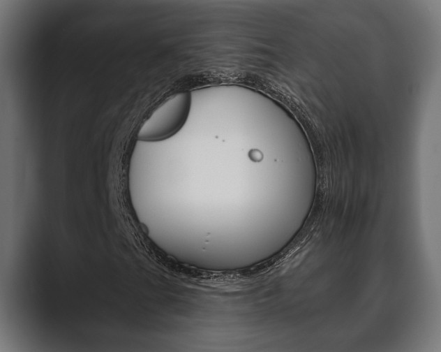 X0000089881201200706281043