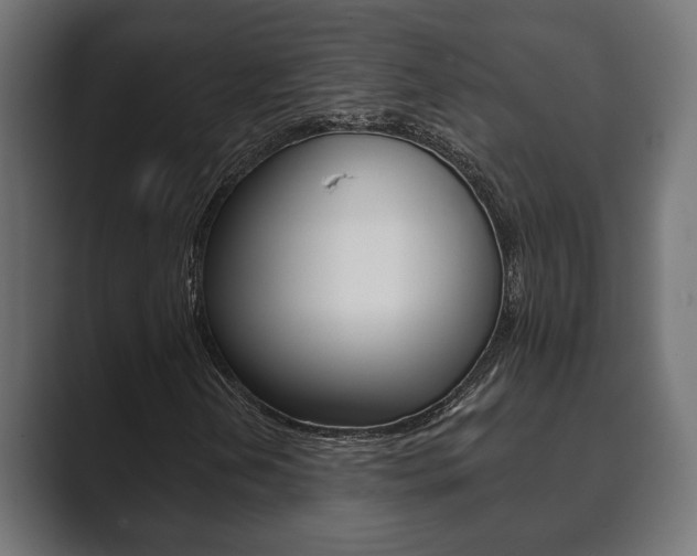 X0000089881202200706281043