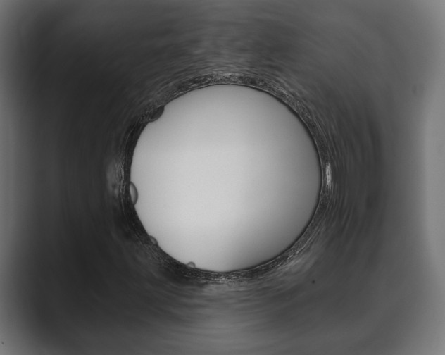 X0000089881203200706281043