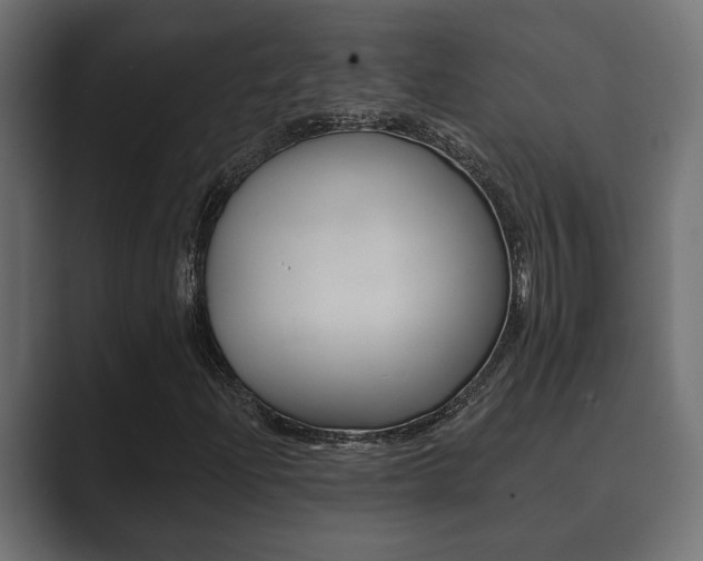 X0000089881204200706281043
