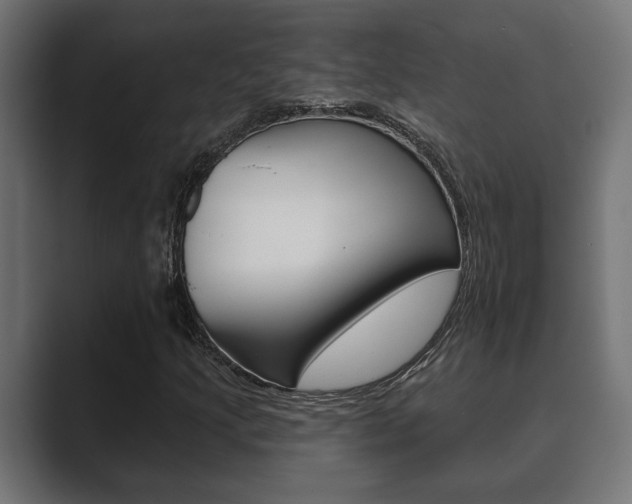 X0000089881205200706281043
