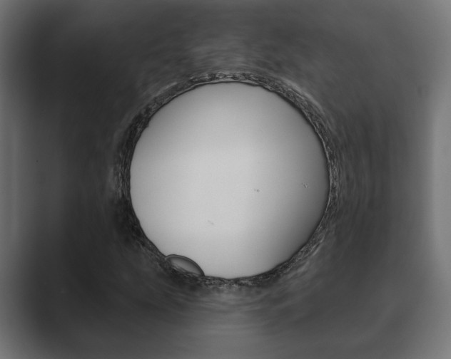 X0000089881207200706281043