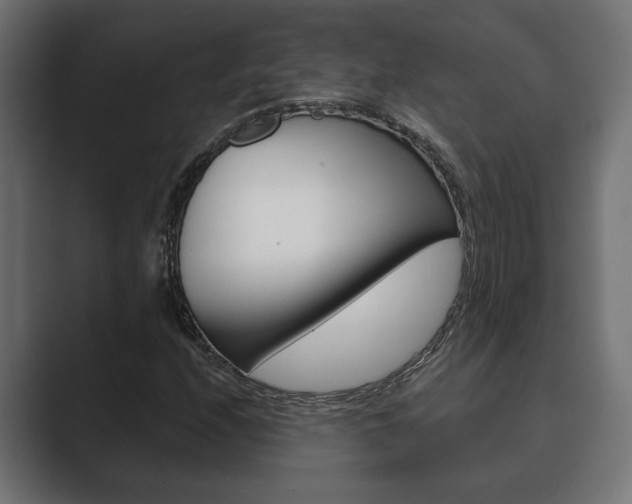 X0000089881208200706281043
