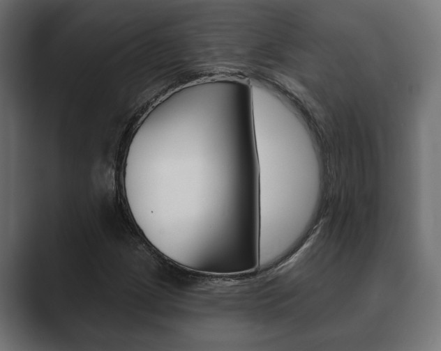 X0000089881209200706281043