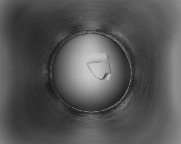 X0000089881210200706281043