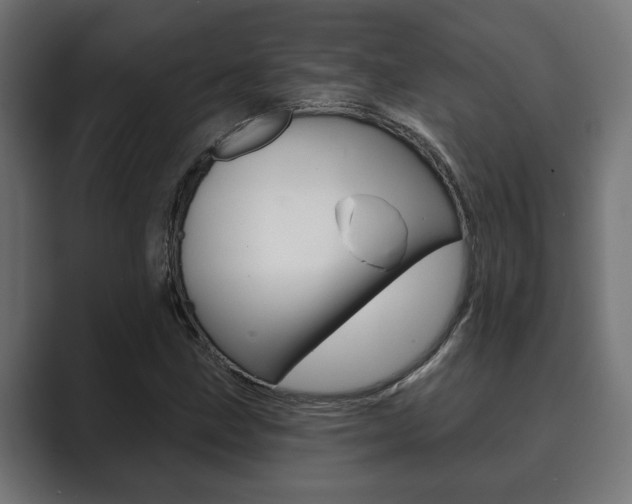 X0000089881211200706281043