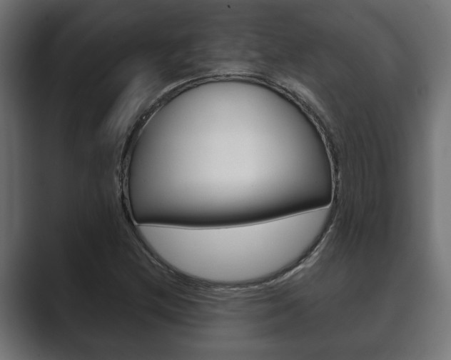 X0000089881212200706281043