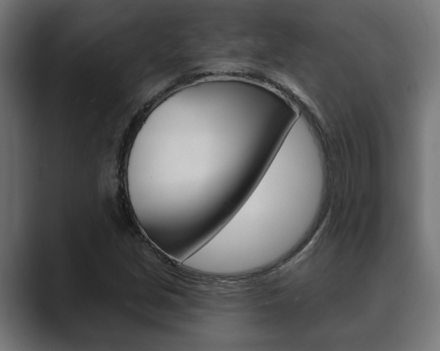 X0000089881213200706281043