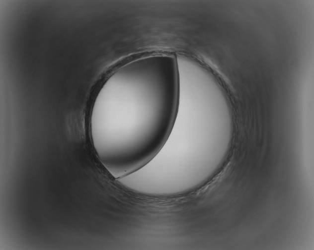 X0000089881214200706281043