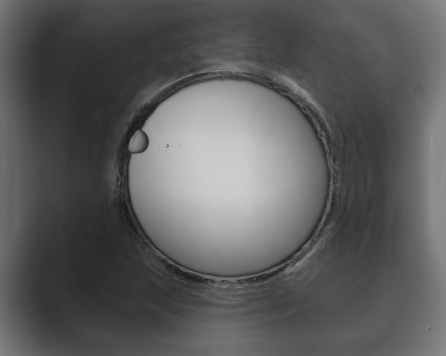 X0000089881215200706281043