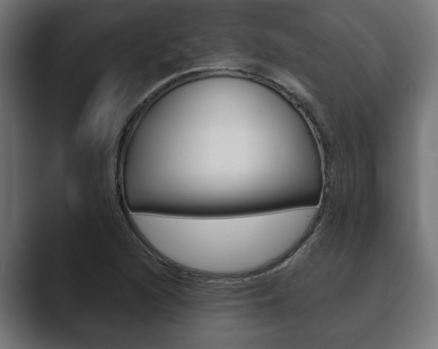 X0000089881216200706281043