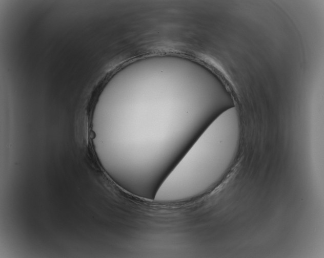 X0000089881219200706281043