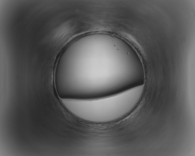 X0000089881220200706281043