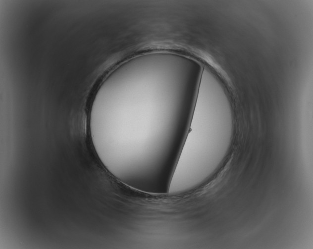 X0000089881221200706281043