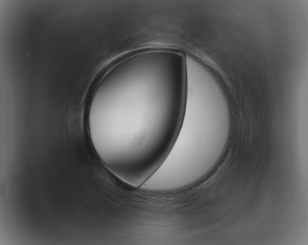 X0000089881222200706281043