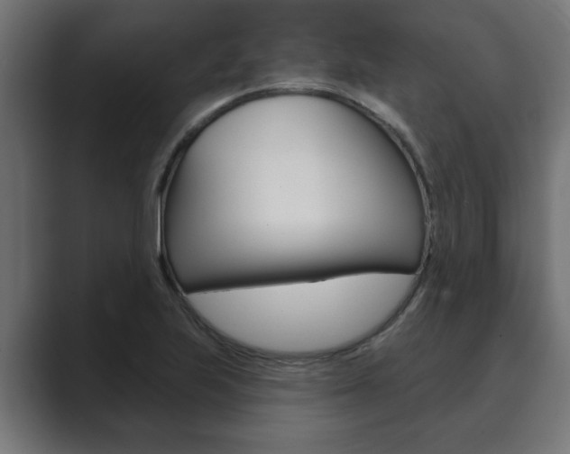 X0000089881223200706281043