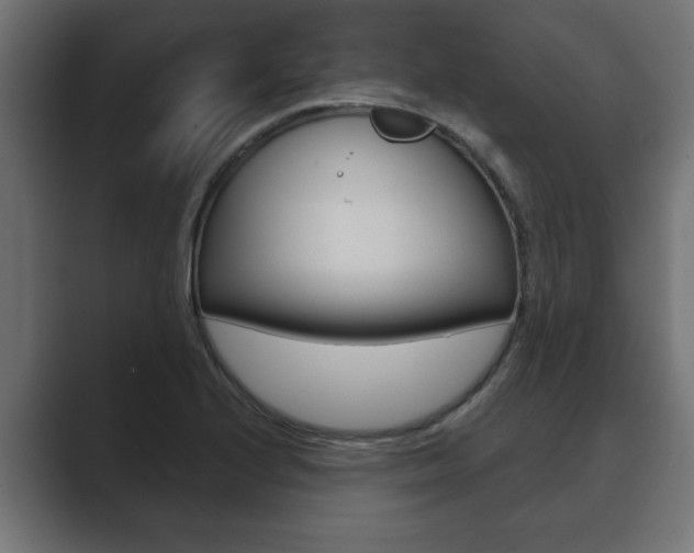 X0000089881224200706281043