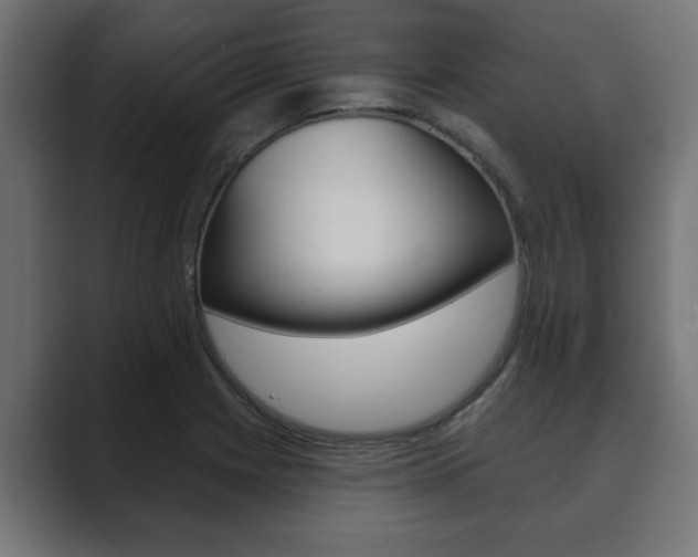 X0000089881225200706281043